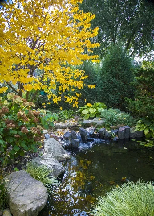 10 Tips for Fall Pond Care
