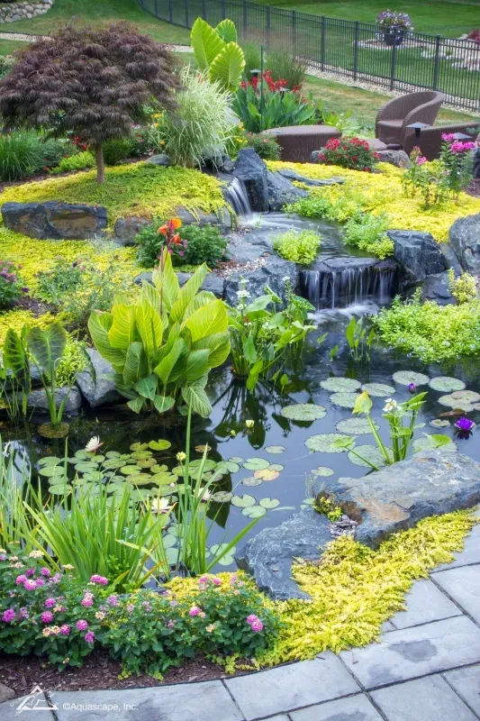 7 Tips for Planting Your Pond