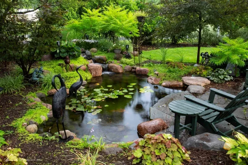 7 Tips for Planting Your Pond