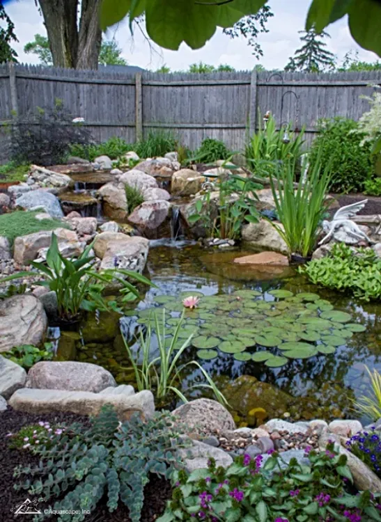 7 Tips for Planting Your Pond