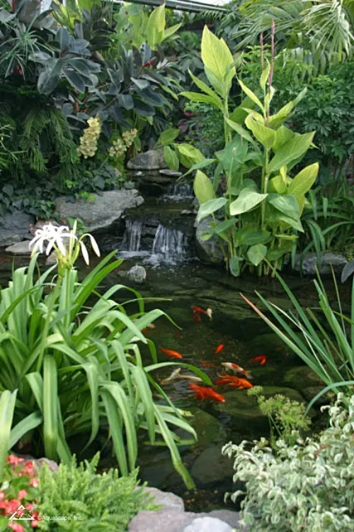 7 Tips for Planting Your Pond