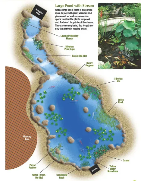 7 Tips for Planting Your Pond