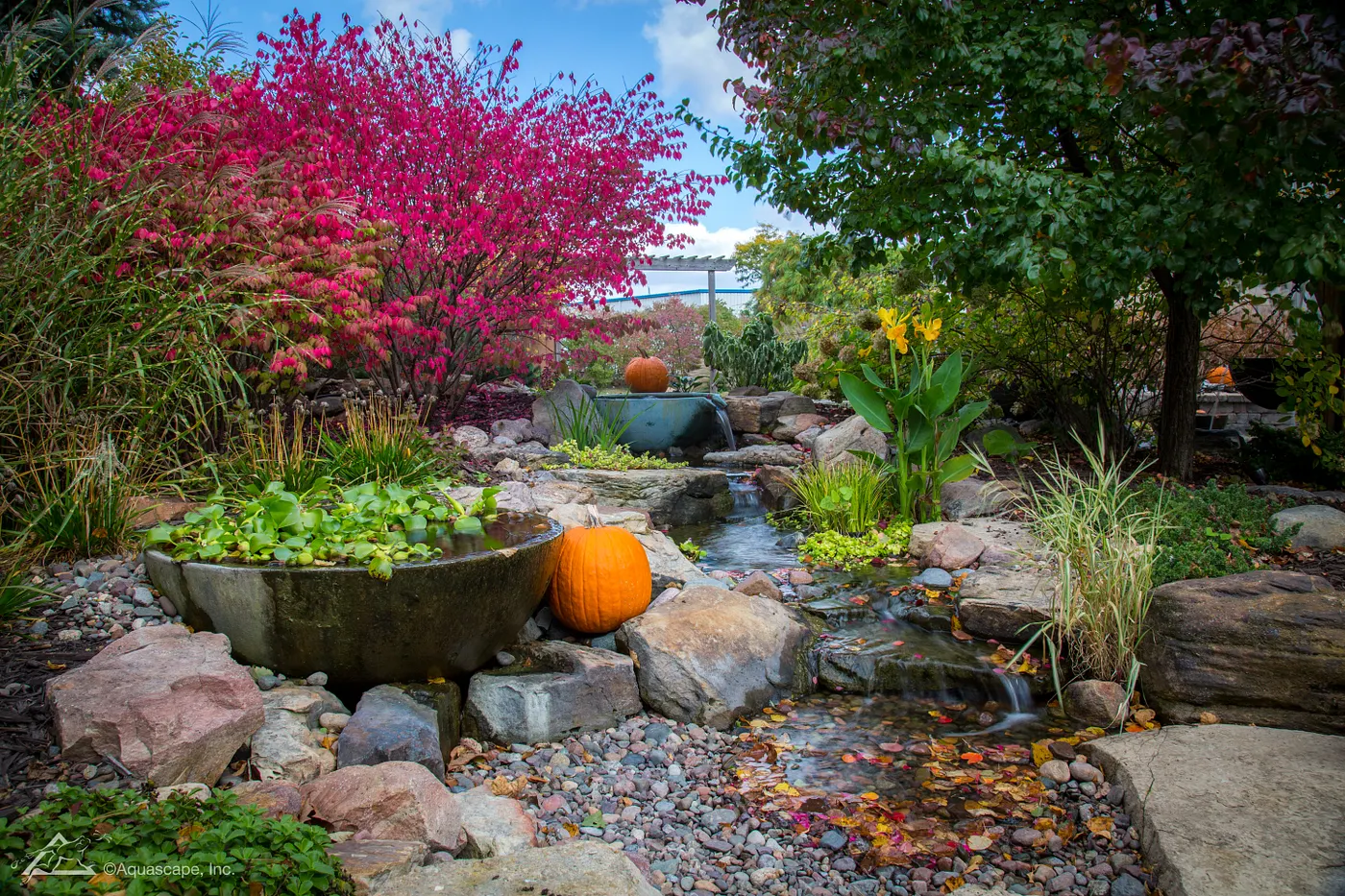 Pond prepared for winter