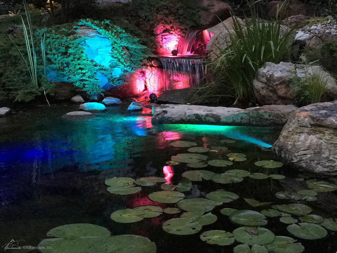 Brighten Your Pond This Autumn: Aquascape Lighting Ideas for Shorter Days