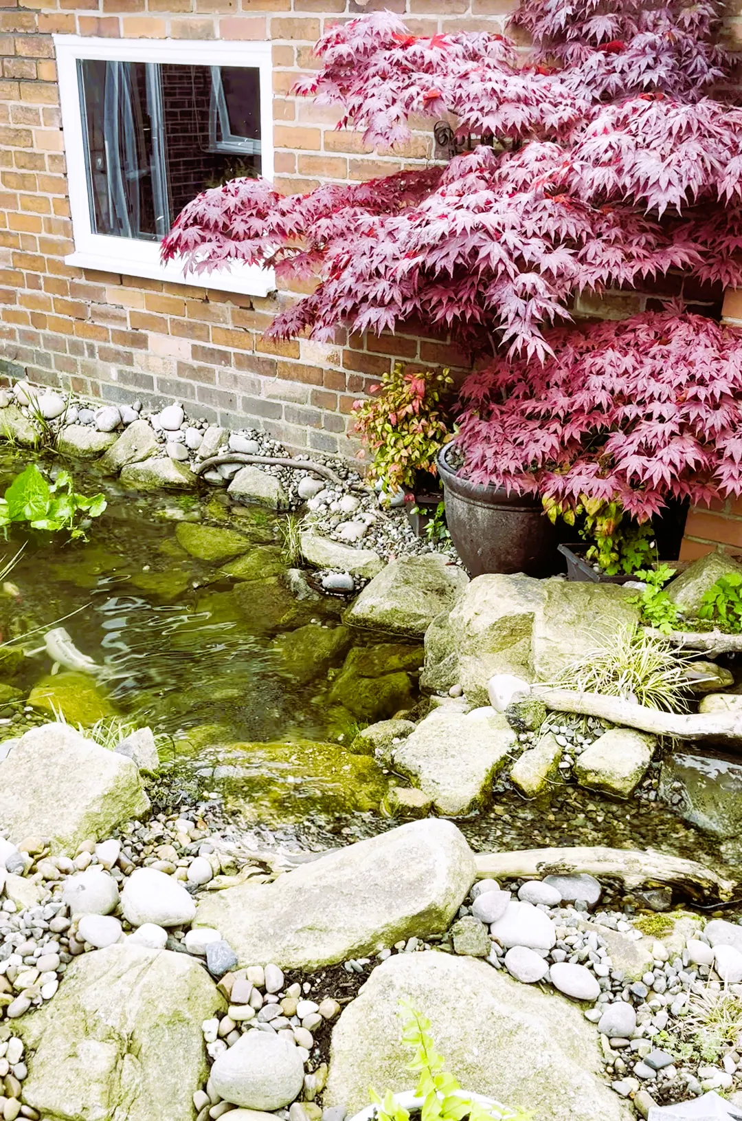 Can You Turn an Existing Pond Into a Water Feature?