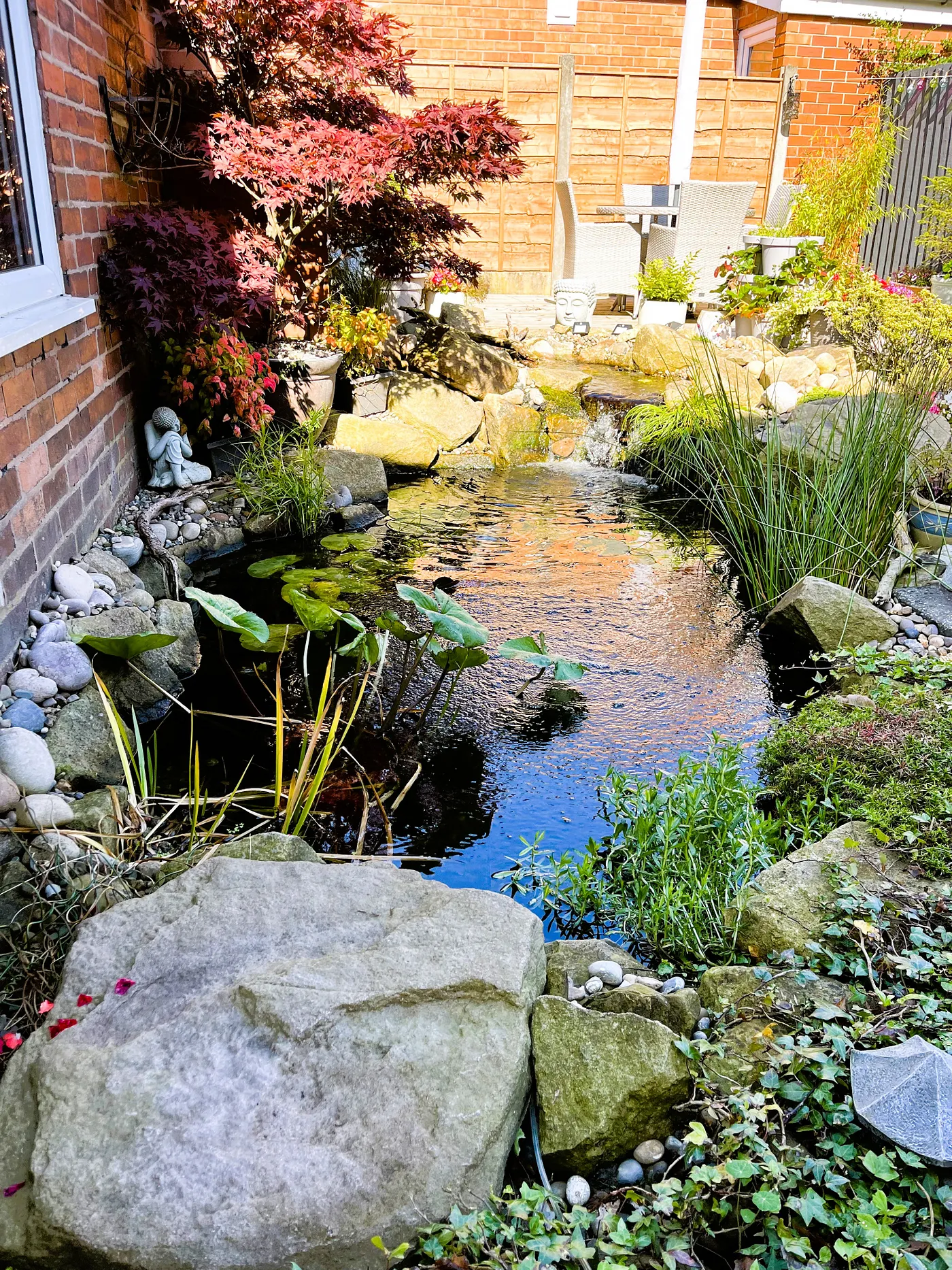 Existing two-level garden pond before conversion to a water feature