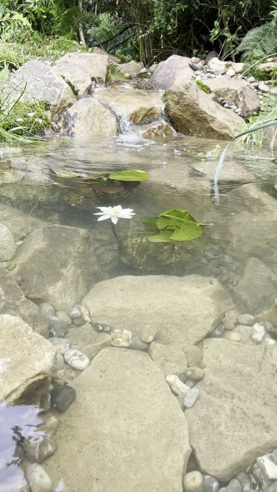 Garden waterfall with natural stone and flowing water