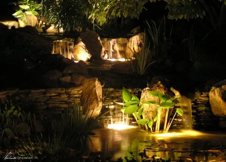 Enhance Your Pond with Easy Add-On Features