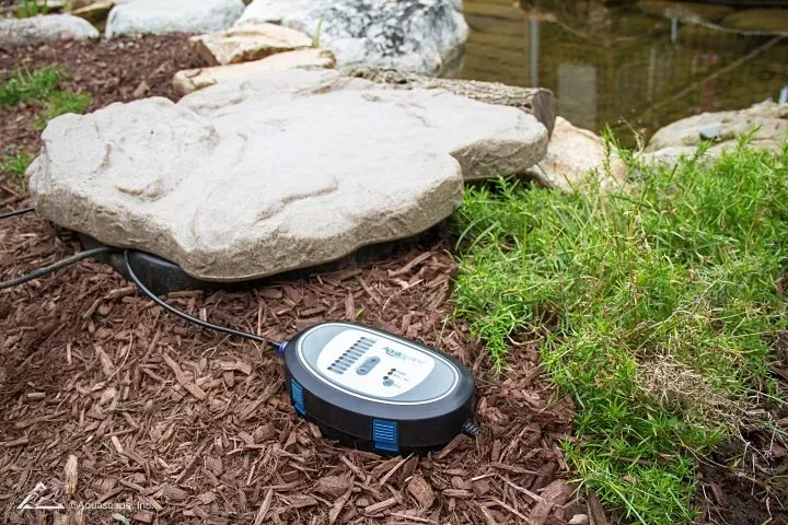 How to Enhance Your Pond with Easy Add-On Features