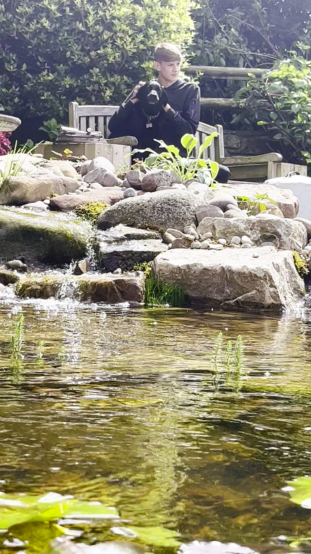 How to Look After Your Pond During a Heatwave