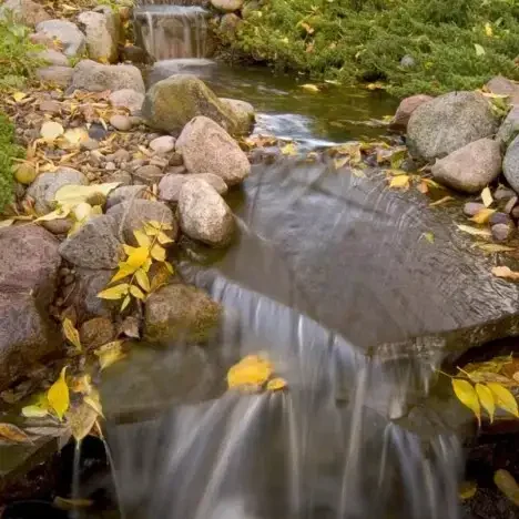 Simple Tips For Winter Pond Care