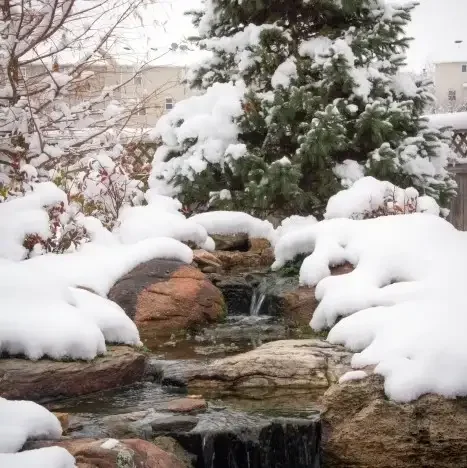 Simple Tips For Winter Pond Care
