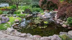 Spring Pond Maintenance in Manchester: A Complete Guide