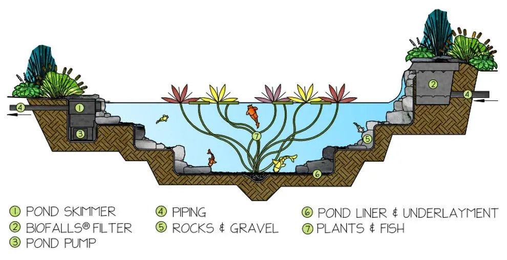 Spring Pond Maintenance in Manchester: A Complete Guide