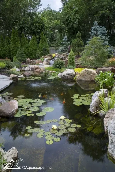 What You Need To Know About Pond Filtration