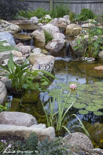 What You Need To Know About Pond Filtration