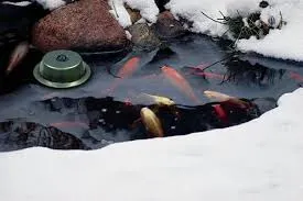Winter Pond Care: How to Protect Your Pond & Fish in Freezing Weather