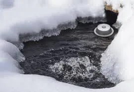 Winter Pond Care: How to Protect Your Pond & Fish in Freezing Weather