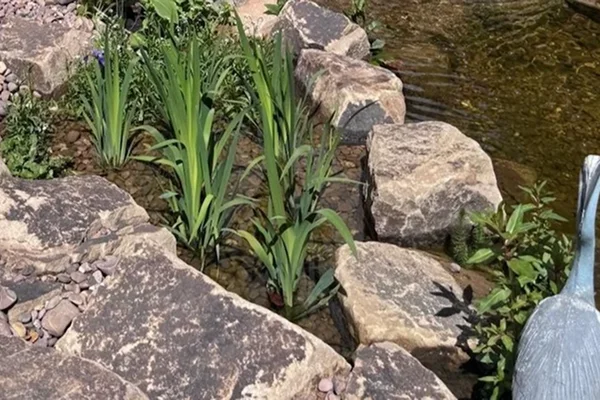 Ecosystem Pond Builders & Water Feature Specialists Manchester