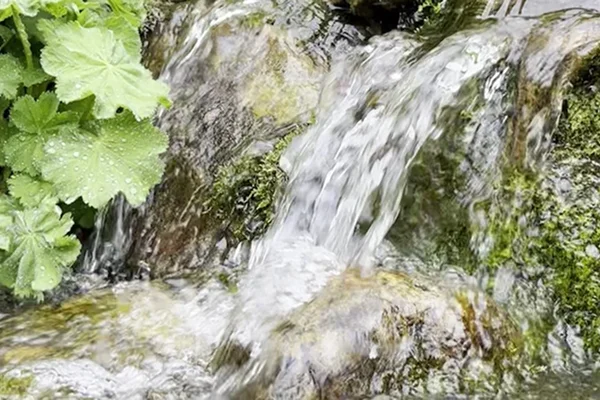 Ecosystem Pond Builders & Water Feature Specialists Manchester