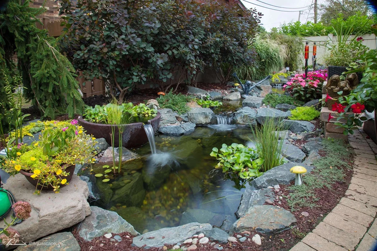 Eco System Ponds Manchester
