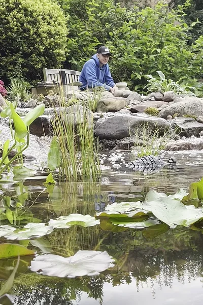Eco System Ponds Manchester