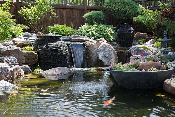 Eco System Ponds Manchester