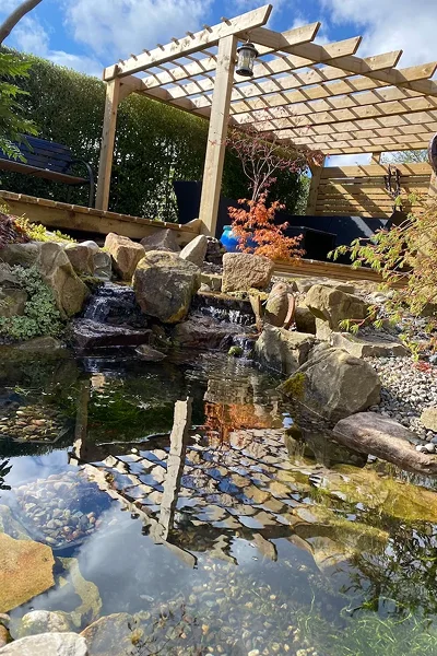 Eco System Ponds Manchester