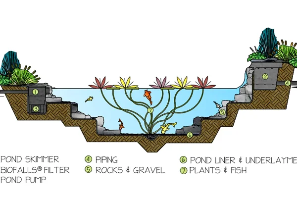 Eco System Ponds Manchester
