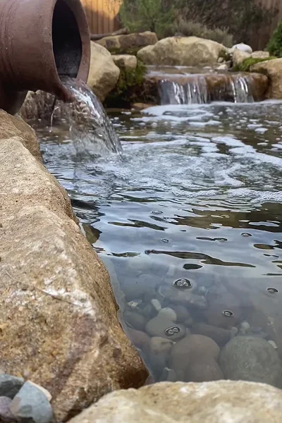 Eco System Ponds Manchester