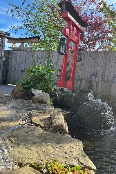 Eco System Ponds Manchester
