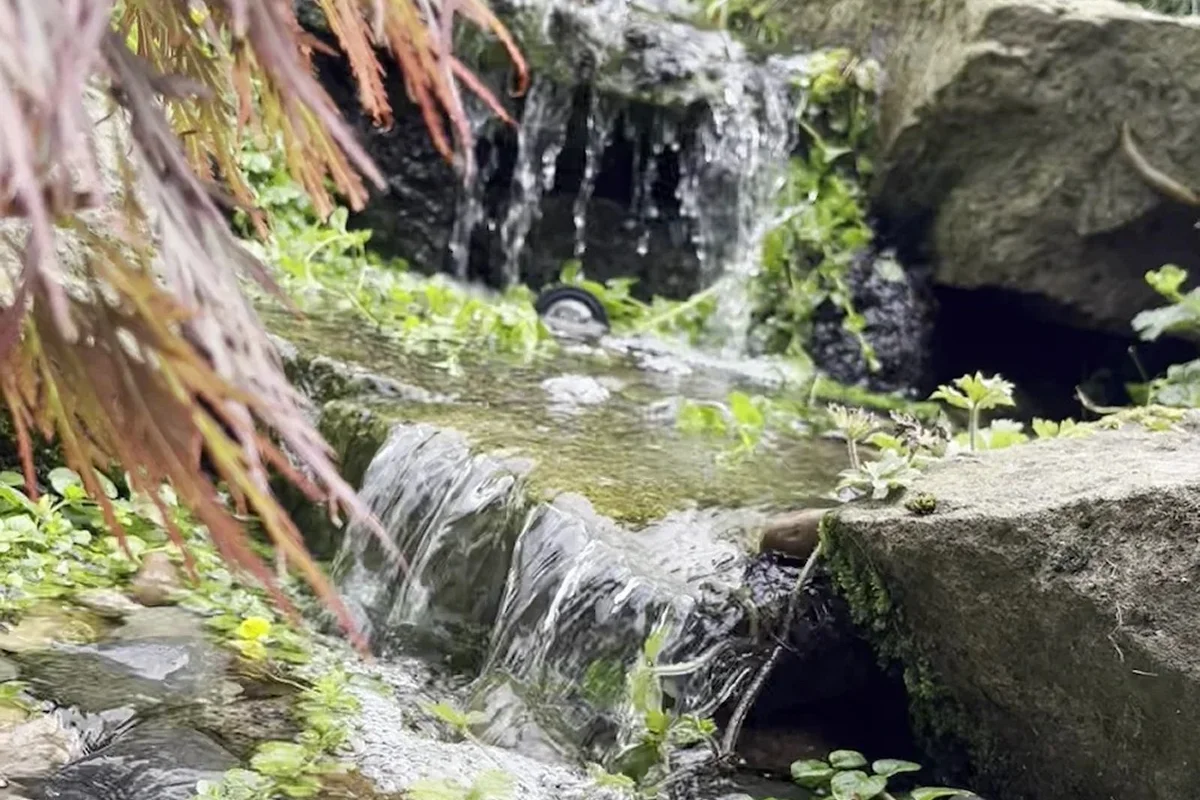 Garden Waterfalls Manchester