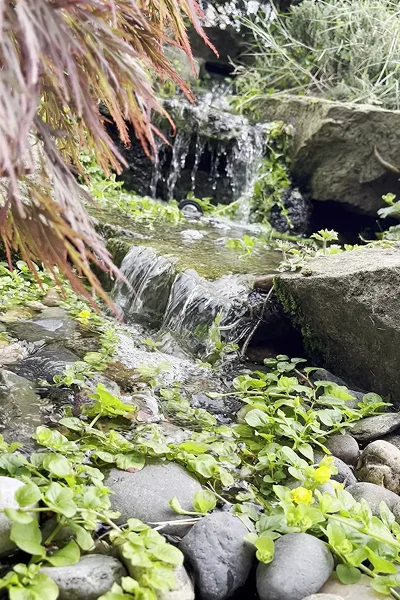 Pond Maintenance Manchester