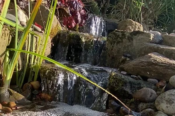 Garden Waterfalls Manchester
