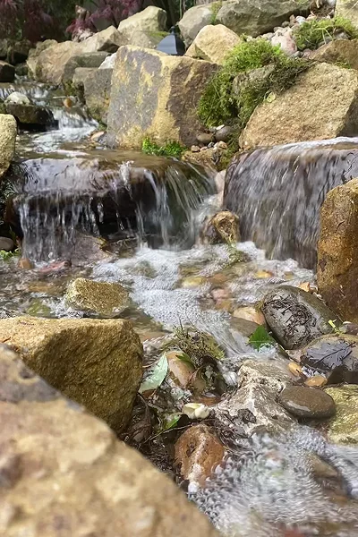 Garden Waterfalls Manchester