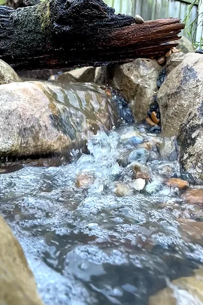 Garden Waterfalls Manchester