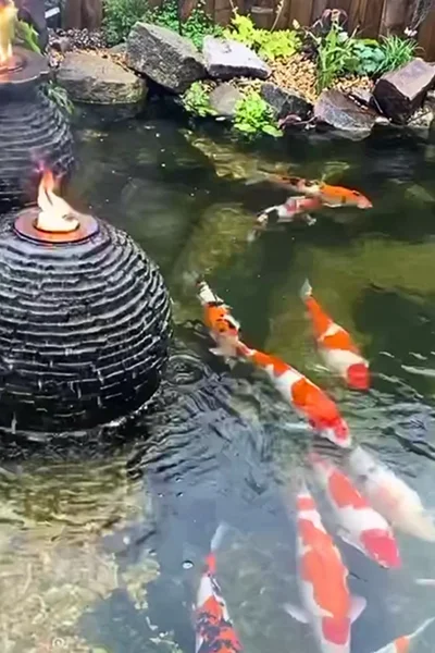 Koi Pond Builders Manchester
