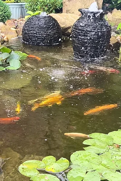 Koi Pond Builders Manchester