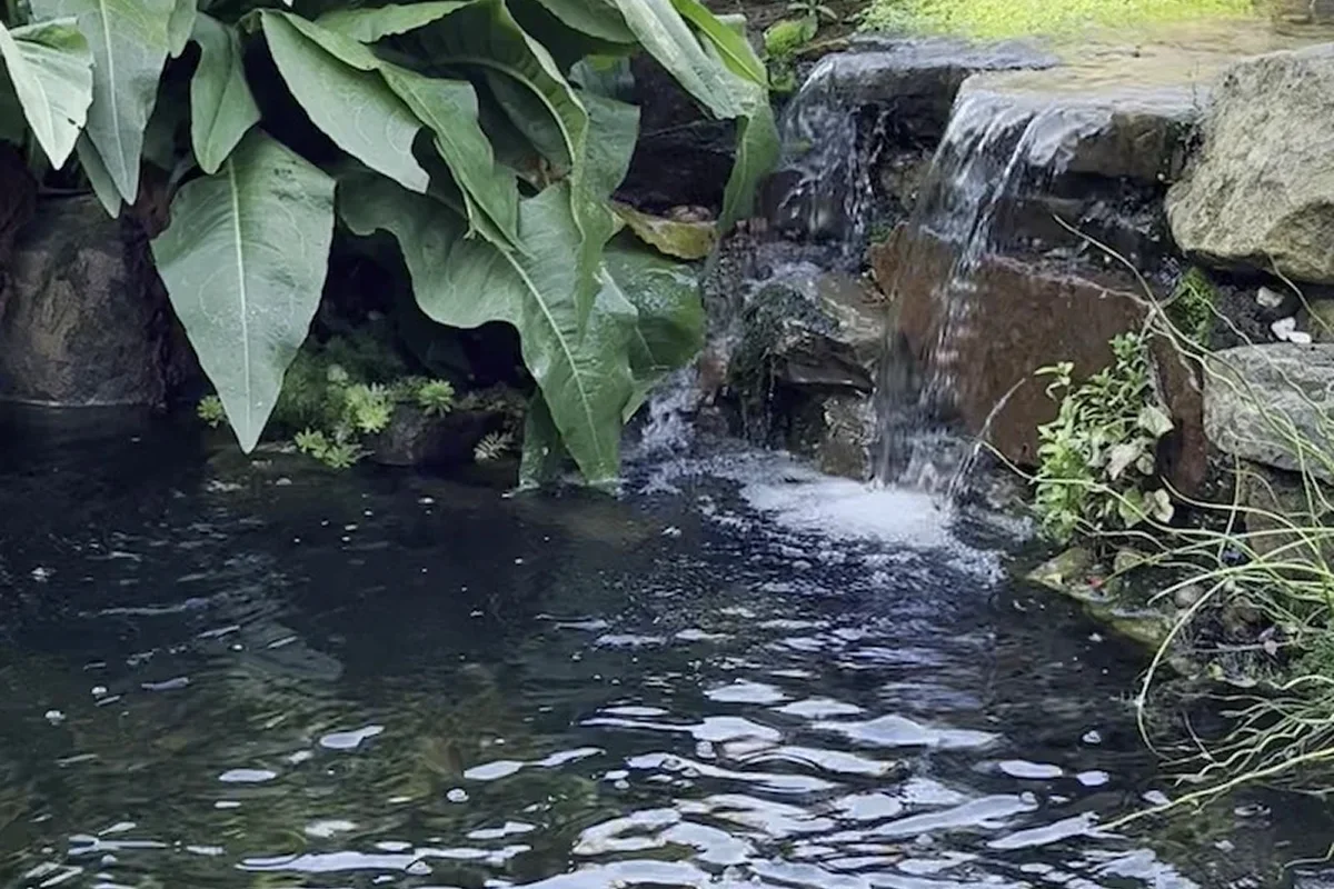 Pond Maintenance Manchester