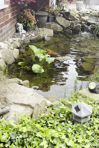 Pond Maintenance Manchester