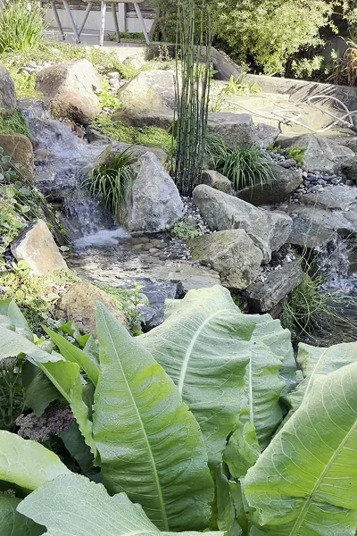Pond Maintenance Manchester