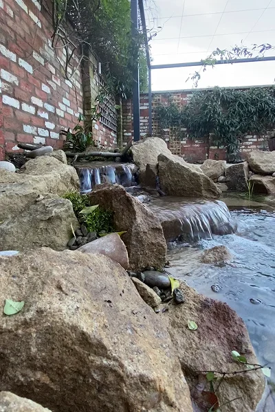 Pond Maintenance Manchester