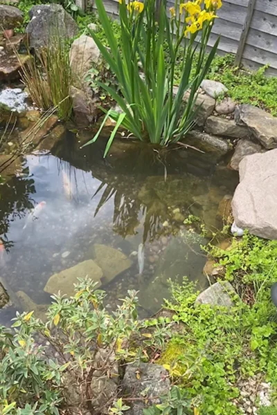 Pond Maintenance Manchester