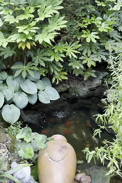 Pond Maintenance Manchester