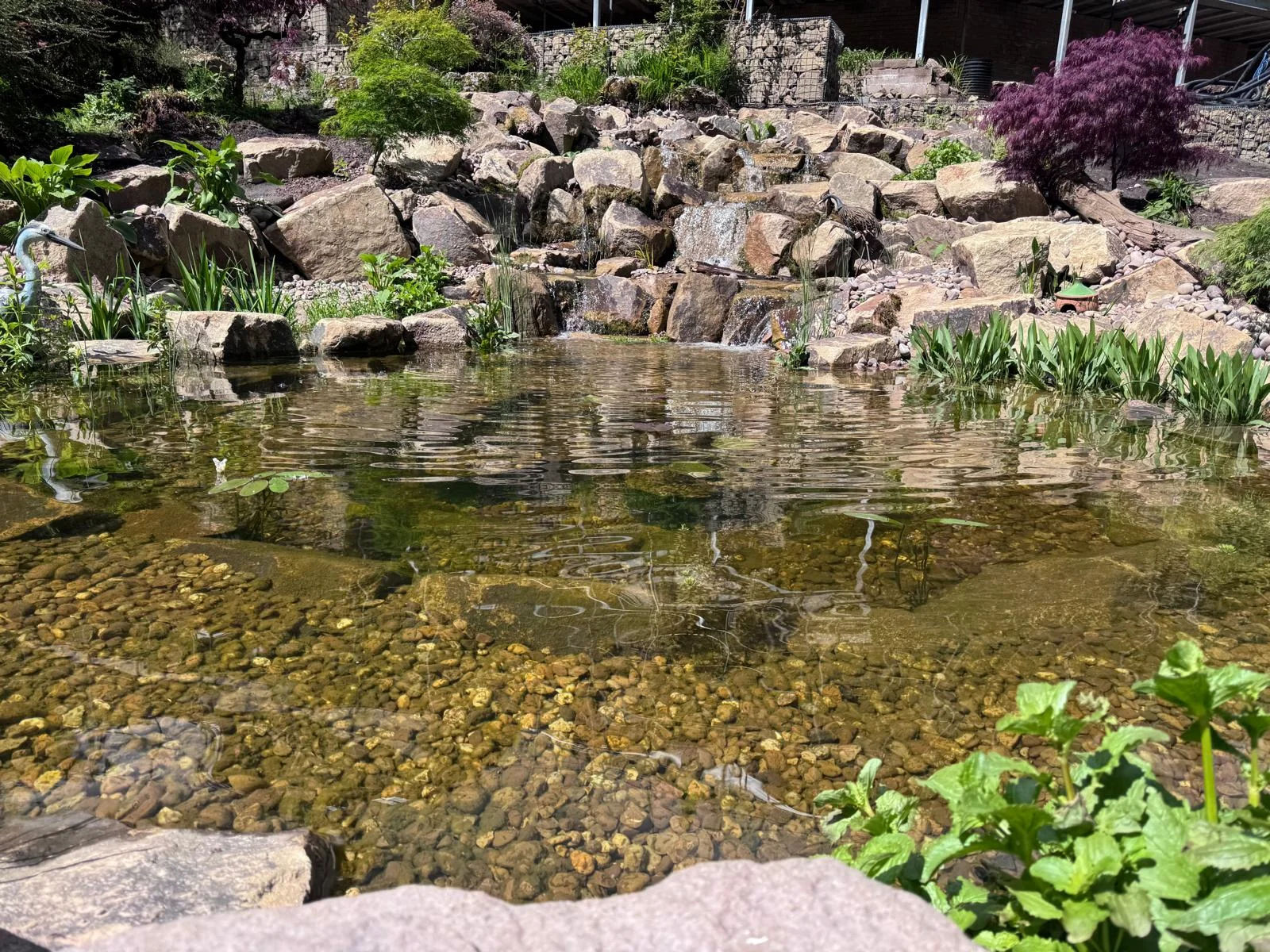 About Olympian Water Gardens