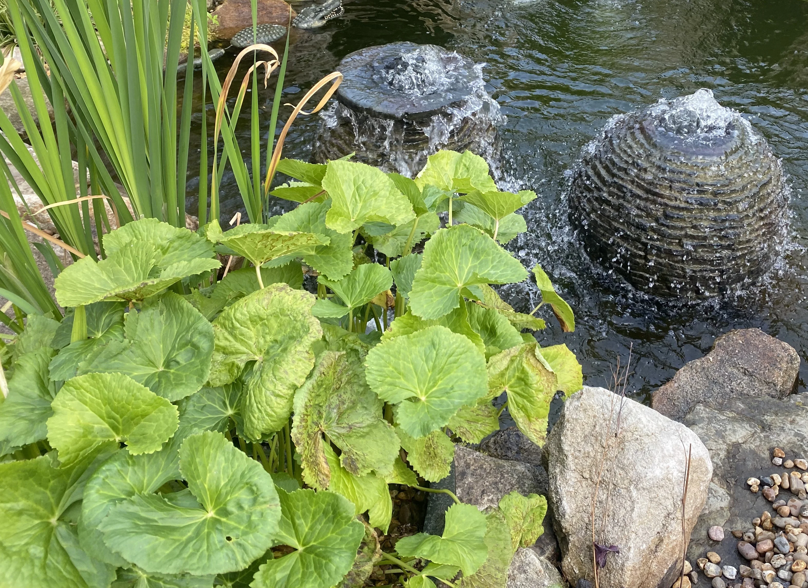 About Olympian Water Gardens
