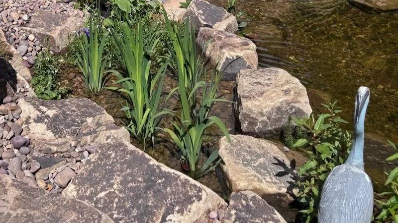 Pond Builders News Manchester