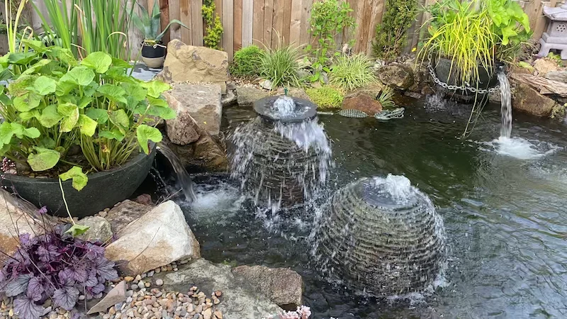 Pond Builders News Manchester