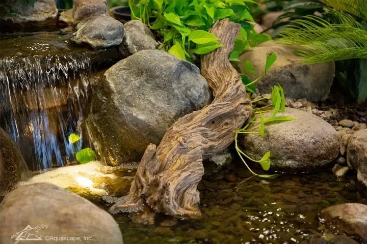 How to Enhance Your Pond with Easy Add-On Features