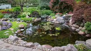 Pond Builders News Manchester